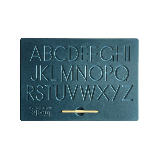Blue Reversible Alphabet Board