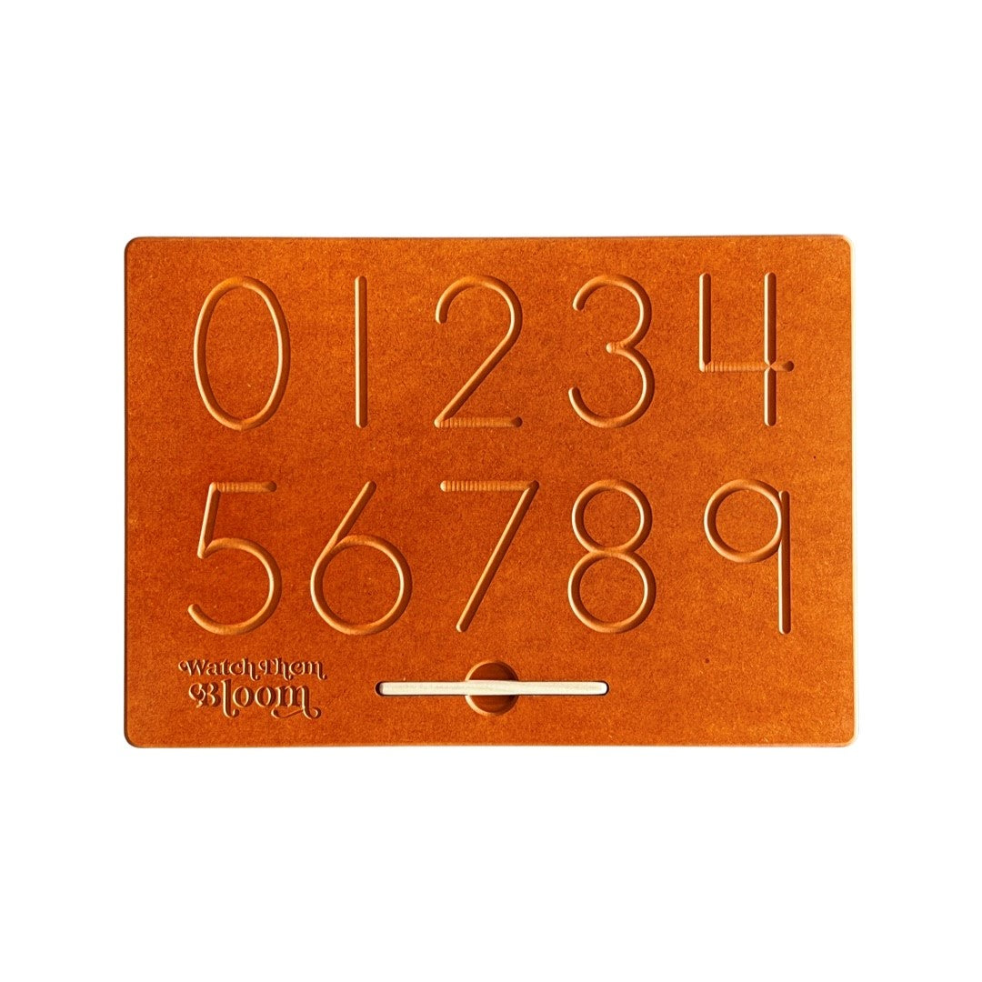 Orange Double Sided Numbers Board
